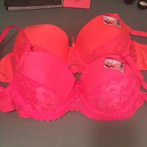 Bras 36B